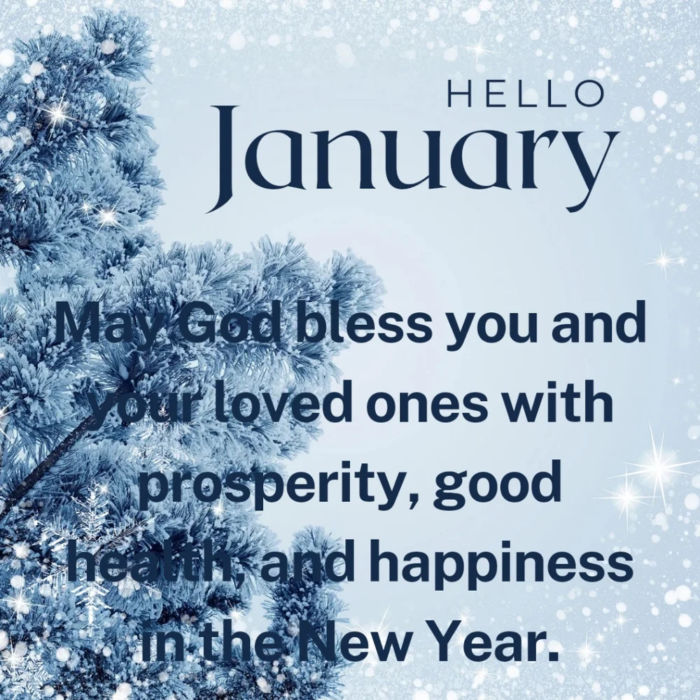 BUNDLE - Picture 10 of 16